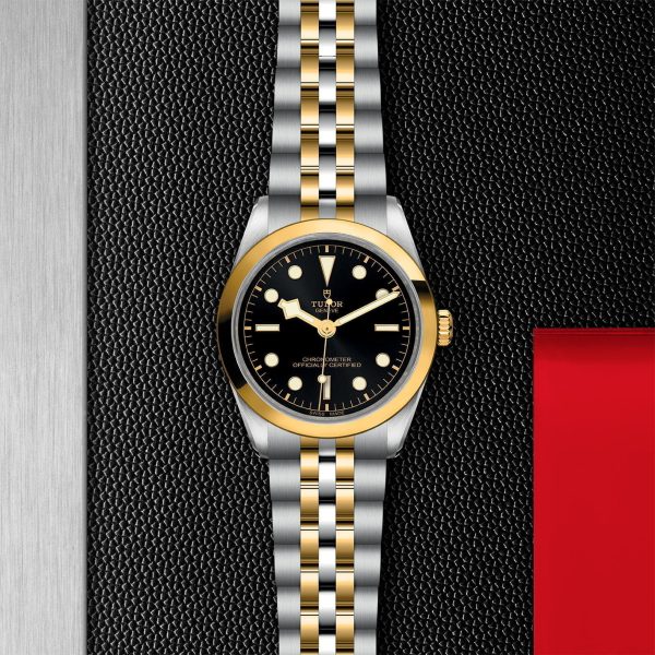 TUDOR Black Bay 36 S&G M79643-0001 - Image 3