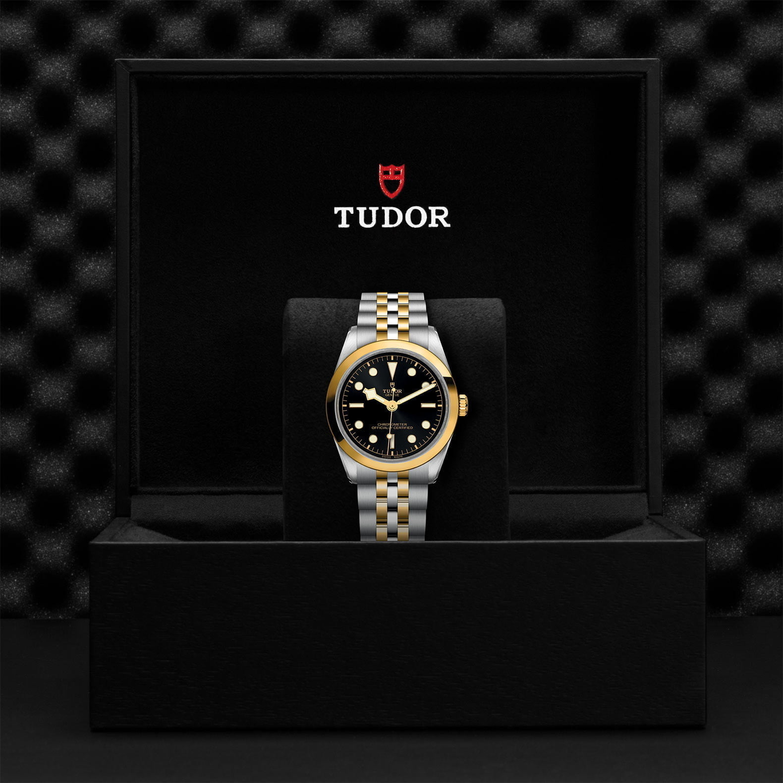 M79643 0001 Tudor Watch Carousel 4 4 10 2023
