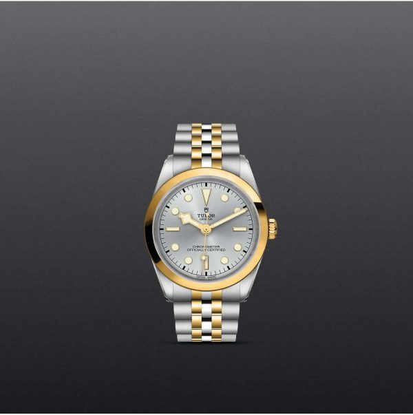 TUDOR Black Bay 36 S&G M79643-0002