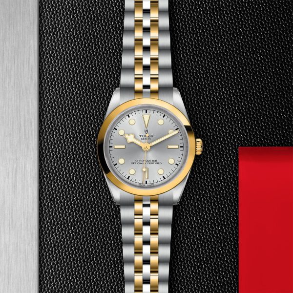 TUDOR Black Bay 36 S&G M79643-0002 - Image 3