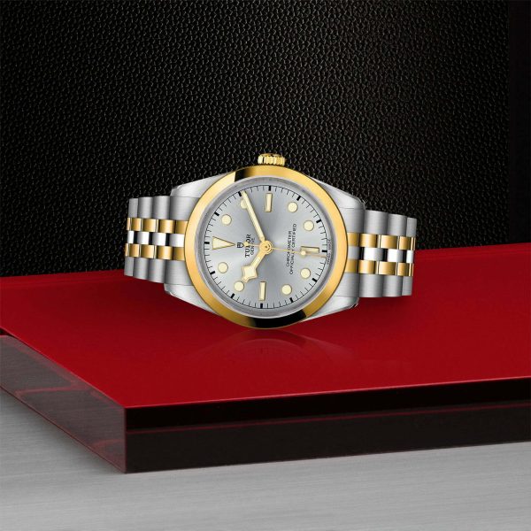 TUDOR Black Bay 36 S&G M79643-0002 - Image 4