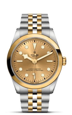 TUDOR Black Bay 36 S&G M79643-0005