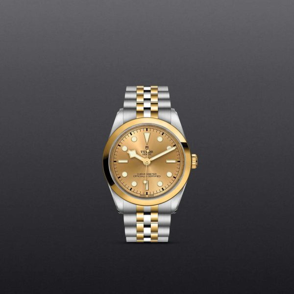 TUDOR Black Bay 36 S&G M79643-0005
