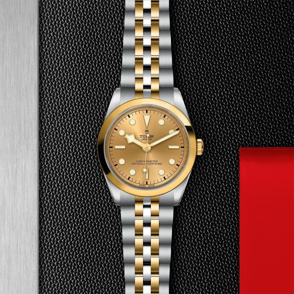 TUDOR Black Bay 36 S&G M79643-0005 - Image 3