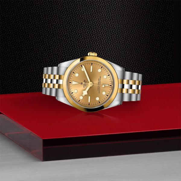 TUDOR Black Bay 36 S&G M79643-0005 - Image 4