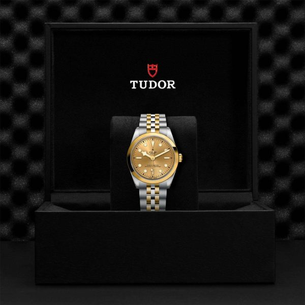 TUDOR Black Bay 36 S&G M79643-0005 - Image 5