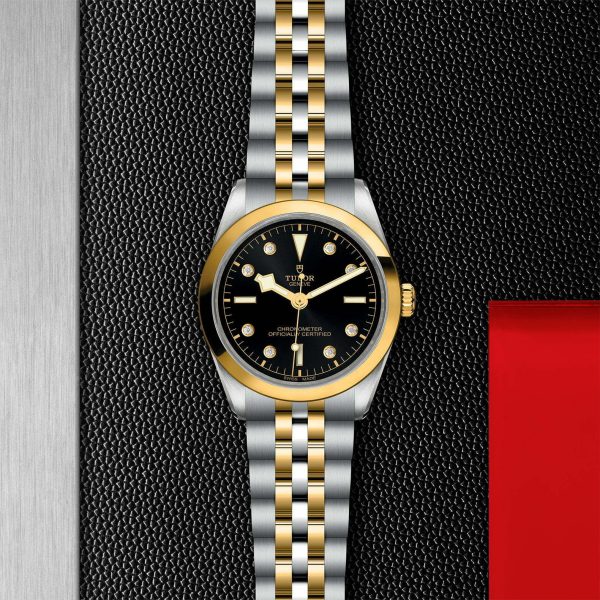 TUDOR Black Bay 36 S&G M79643-0006 - Image 3