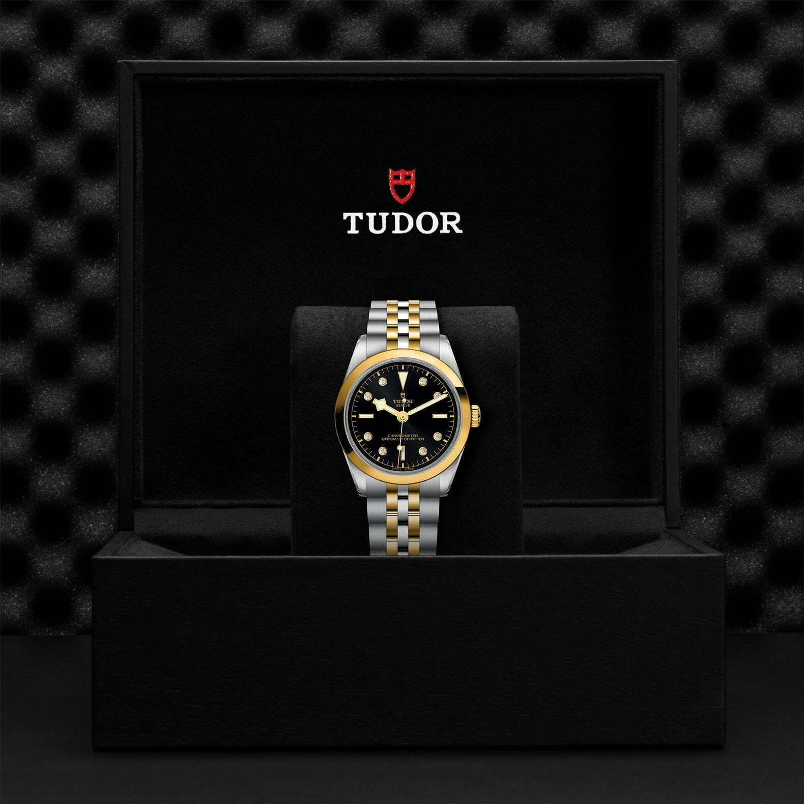 M79643 0006 Tudor Watch Carousel 4 4 10 2023