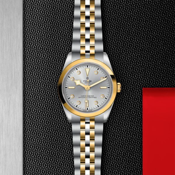 TUDOR Black Bay 36 S&G M79643-0007 - Image 3