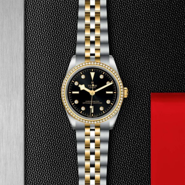 TUDOR Black Bay 36 S&G M79653-0005 - Image 3