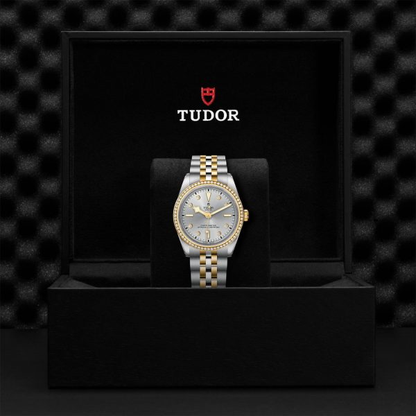 TUDOR Black Bay 36 S&G M79653-0006 - Image 5
