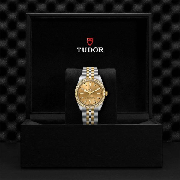 TUDOR Black Bay 36 S&G M79653-0007 - Image 5