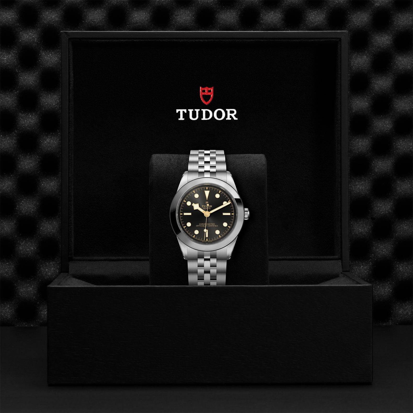 M79660 0001 Tudor Watch Carousel 4 4 10 2023