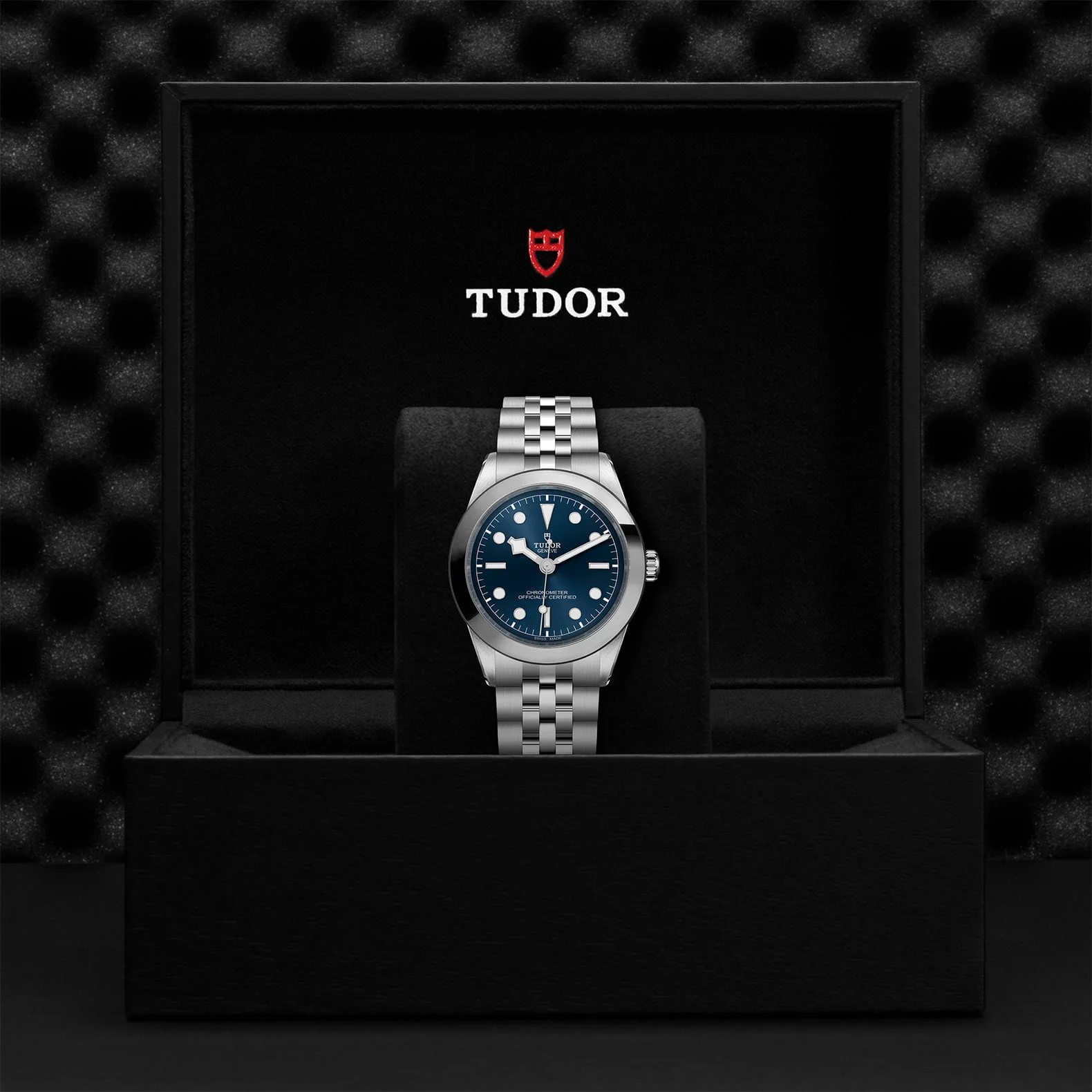 Tudor Black Bay 39 - M79660-0002 | Swee Cheong Watch