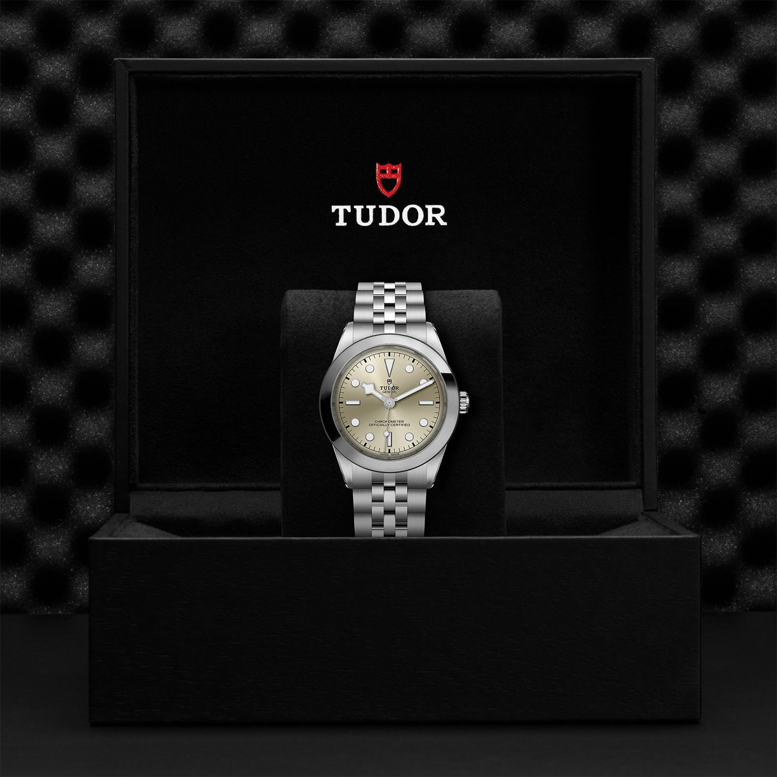 M79660 0003 Tudor Watch Carousel 4 4 10 2023