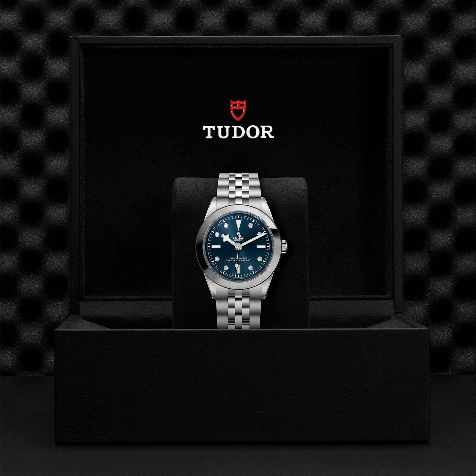 M79660 0005 Tudor Watch Carousel 4 4 10 2023