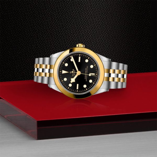 TUDOR Black Bay 39 S&G M79663-0001 - Image 4