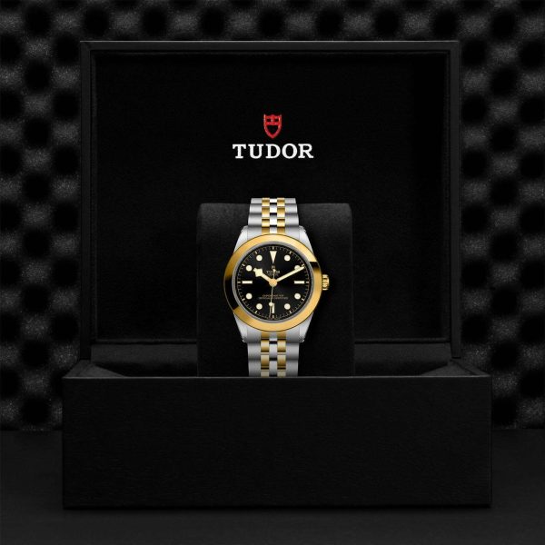 TUDOR Black Bay 39 S&G M79663-0001 - Image 5