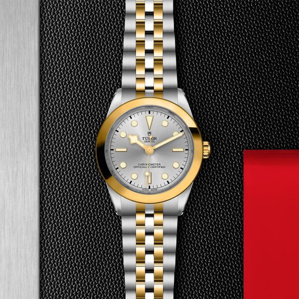 TUDOR Black Bay 39 S&G M79663-0002 - Image 3