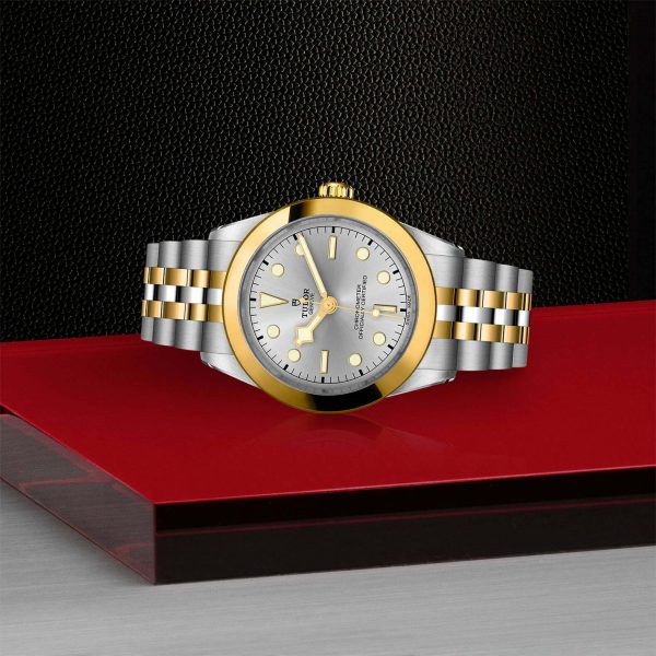 TUDOR Black Bay 39 S&G M79663-0002 - Image 4