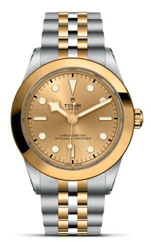 TUDOR Black Bay 39 S&G M79663-0005