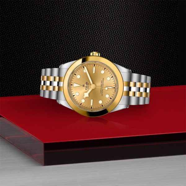 TUDOR Black Bay 39 S&G M79663-0005 - Image 4