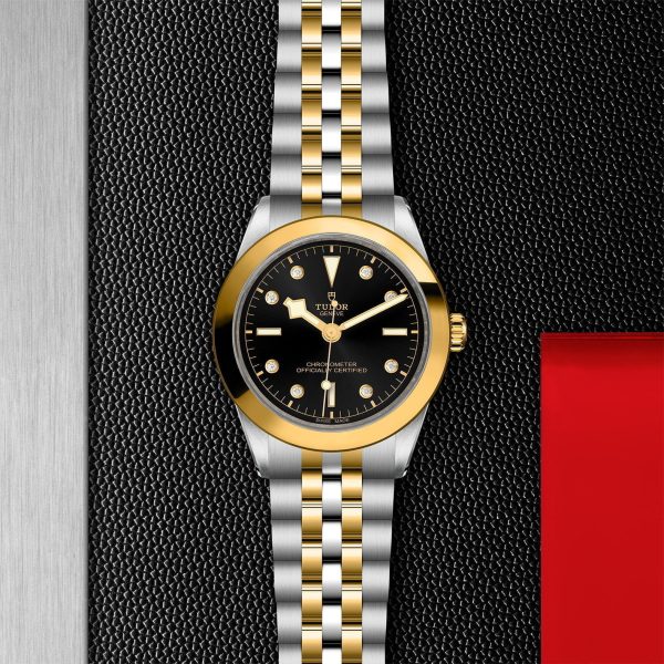 TUDOR Black Bay 39 S&G M79663-0006 - Image 3