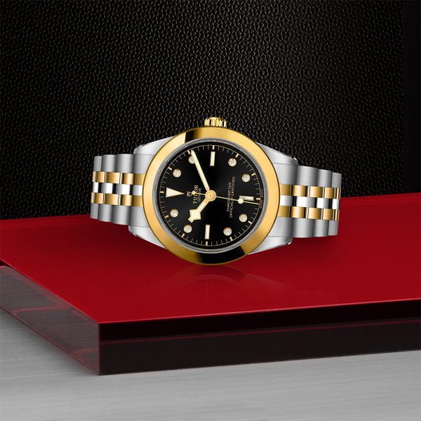 TUDOR Black Bay 39 S&G M79663-0006 - Image 4