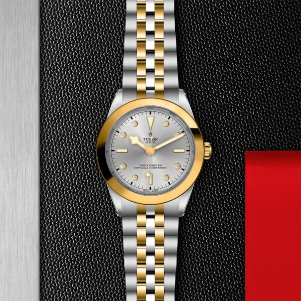 TUDOR Black Bay 39 S&G M79663-0007 - Image 3