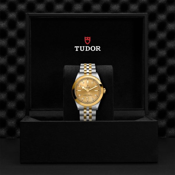 TUDOR Black Bay 39 S&G M79663-0008 - Image 5