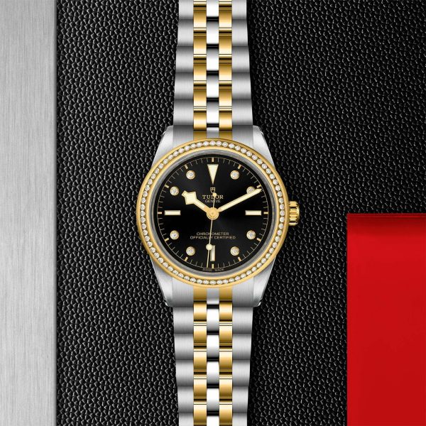 TUDOR Black Bay 39 S&G M79673-0005 - Image 3