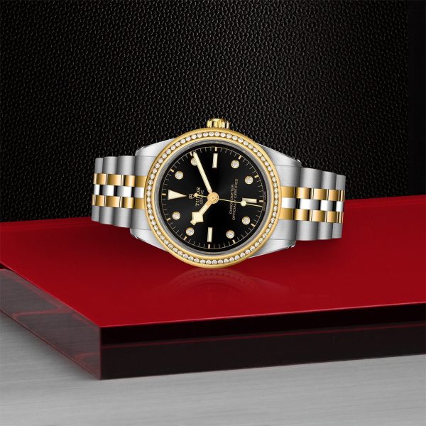 TUDOR Black Bay 39 S&G M79673-0005 - Image 4