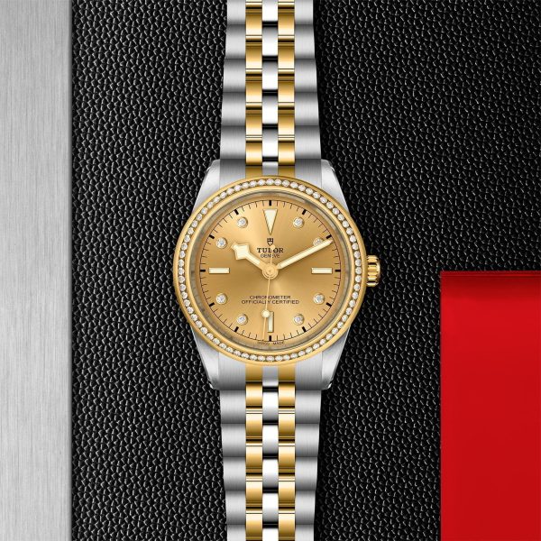 TUDOR Black Bay 39 S&G M79673-0007 - Image 3