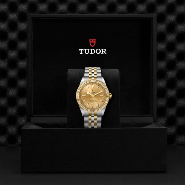 TUDOR Black Bay 39 S&G M79673-0007 - Image 5