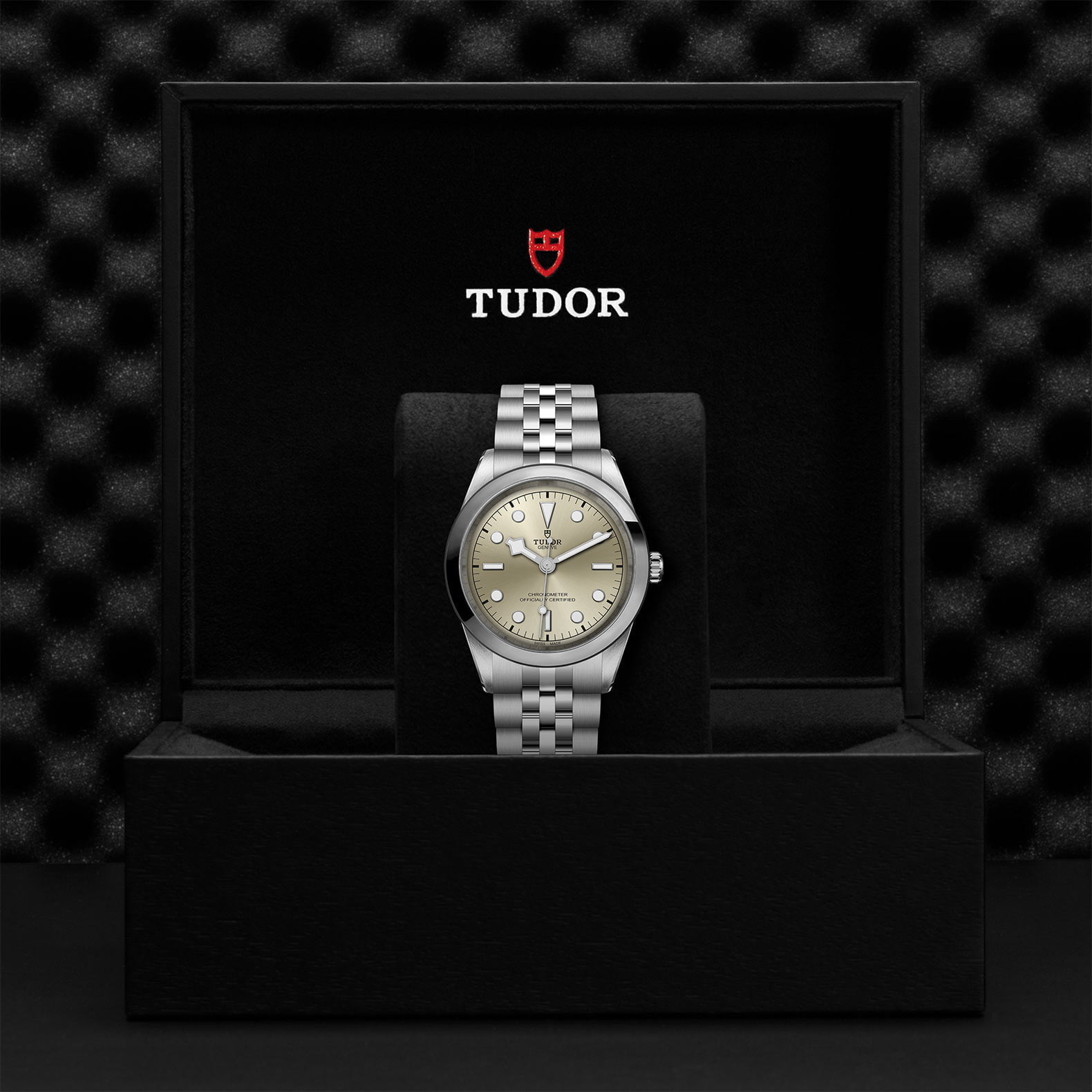 M79680 0003 Tudor Watch Carousel 4 4 10 2023