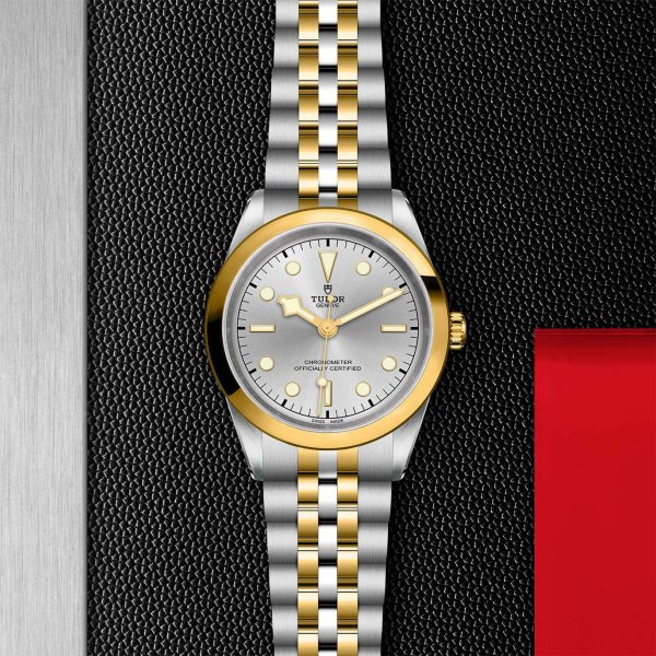 TUDOR Black Bay 41 S&G M79683-0002 - Image 3