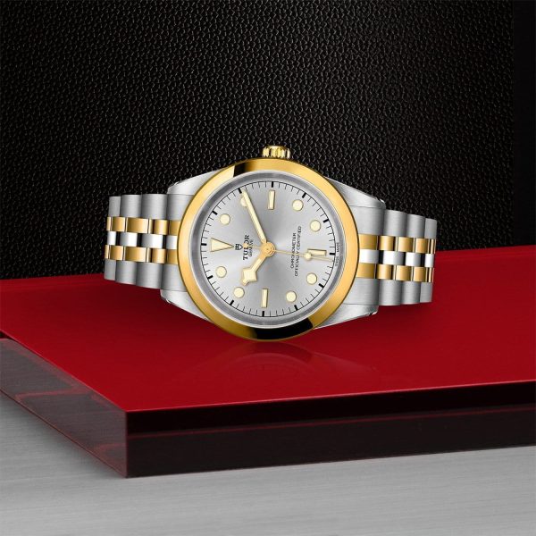 TUDOR Black Bay 41 S&G M79683-0002 - Image 4