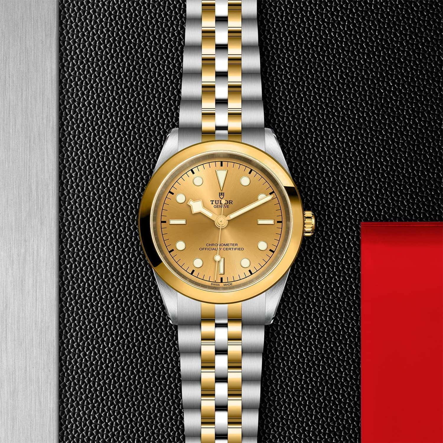 TUDOR Black Bay 41 S&G M79683-0005 - Image 3