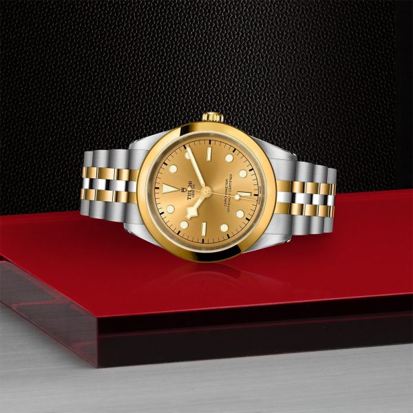 TUDOR Black Bay 41 S&G M79683-0005 - Image 4