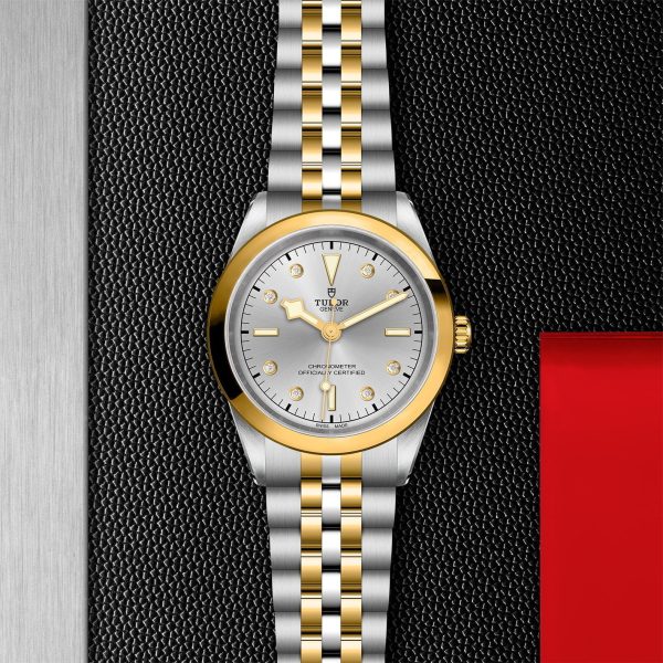 TUDOR Black Bay 41 S&G M79683-0007 - Image 3