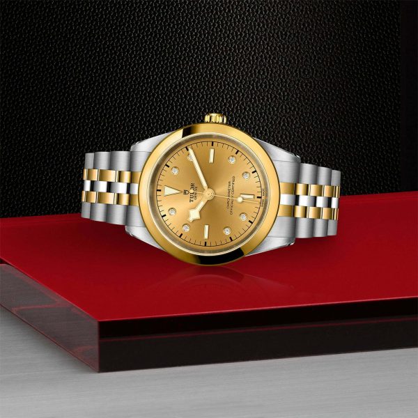 TUDOR Black Bay 41 S&G M79683-0008 - Image 4