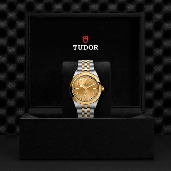 TUDOR Black Bay 41 S&G M79683-0008 - Image 5