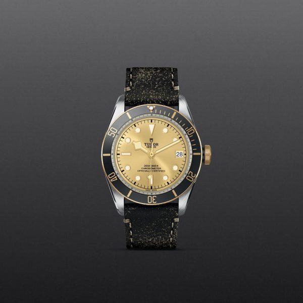TUDOR Black Bay S&G M79733N-0003