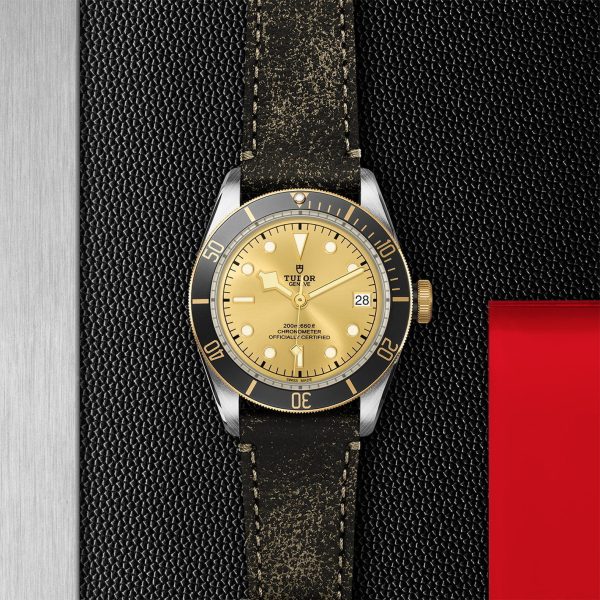 TUDOR Black Bay S&G M79733N-0003 - Image 3