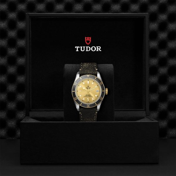 TUDOR Black Bay S&G M79733N-0003 - Image 5