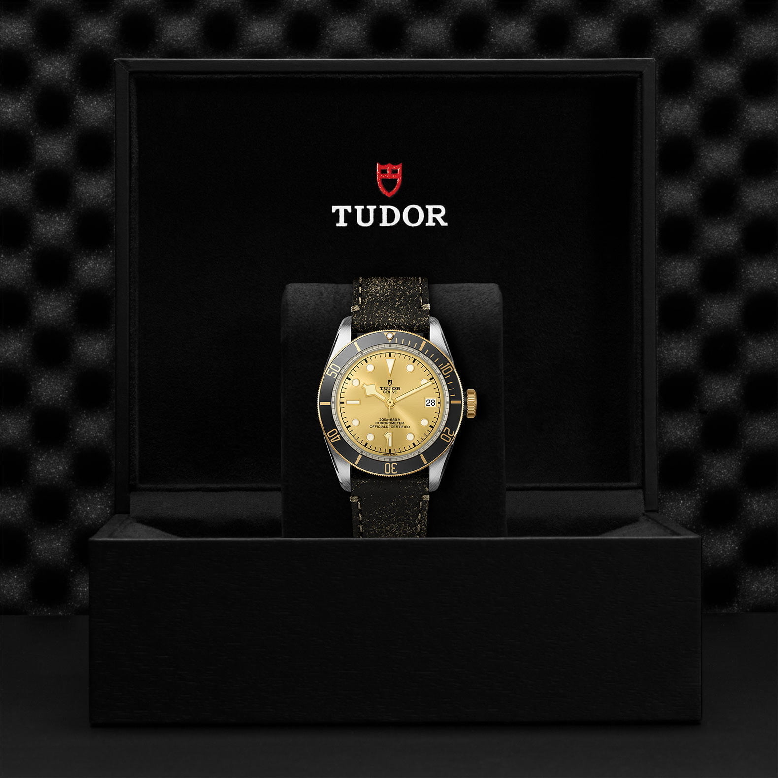 M79733N 0003 Tudor Watch Carousel 4 4 10 2023