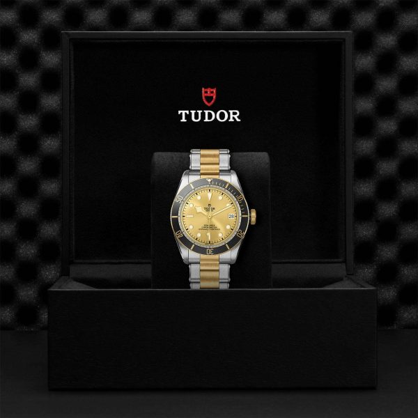 TUDOR Black Bay S&G M79733N-0004 - Image 5