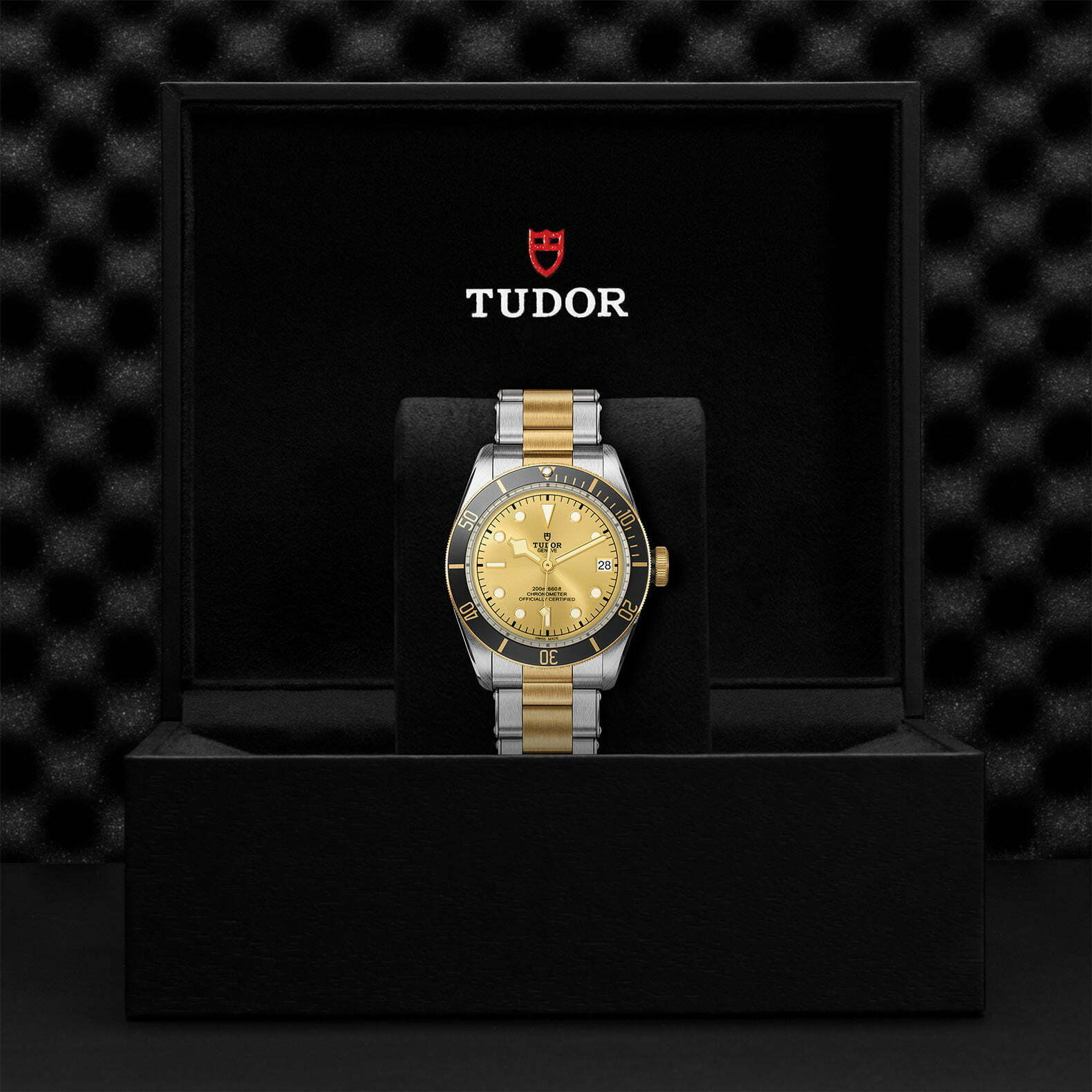 M79733N 0004 Tudor Watch Carousel 4 4 10 2023