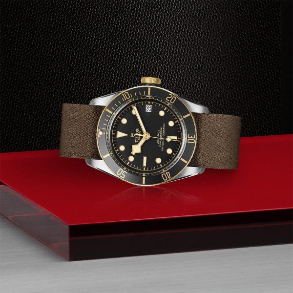 TUDOR Black Bay S&G M79733N-0005 - Image 4