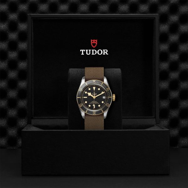 TUDOR Black Bay S&G M79733N-0005 - Image 5